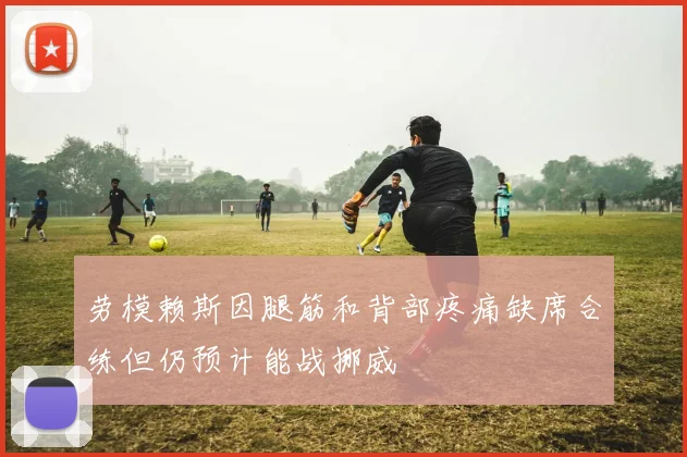 劳模赖斯因腿筋和背部疼痛缺席合练但仍预计能战挪威